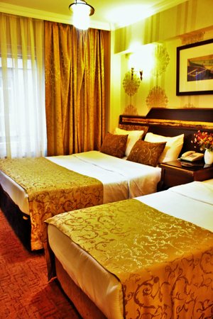 Sultanahmet Park Hotel