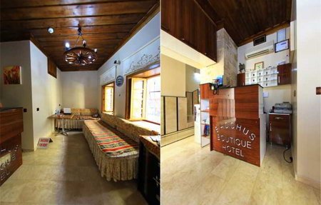 Bacchus Pension