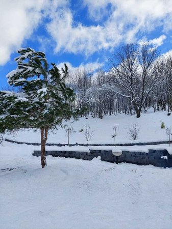 Kartepe Panorama