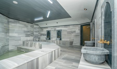 Çamlıdere Thermal Hotel & Spa